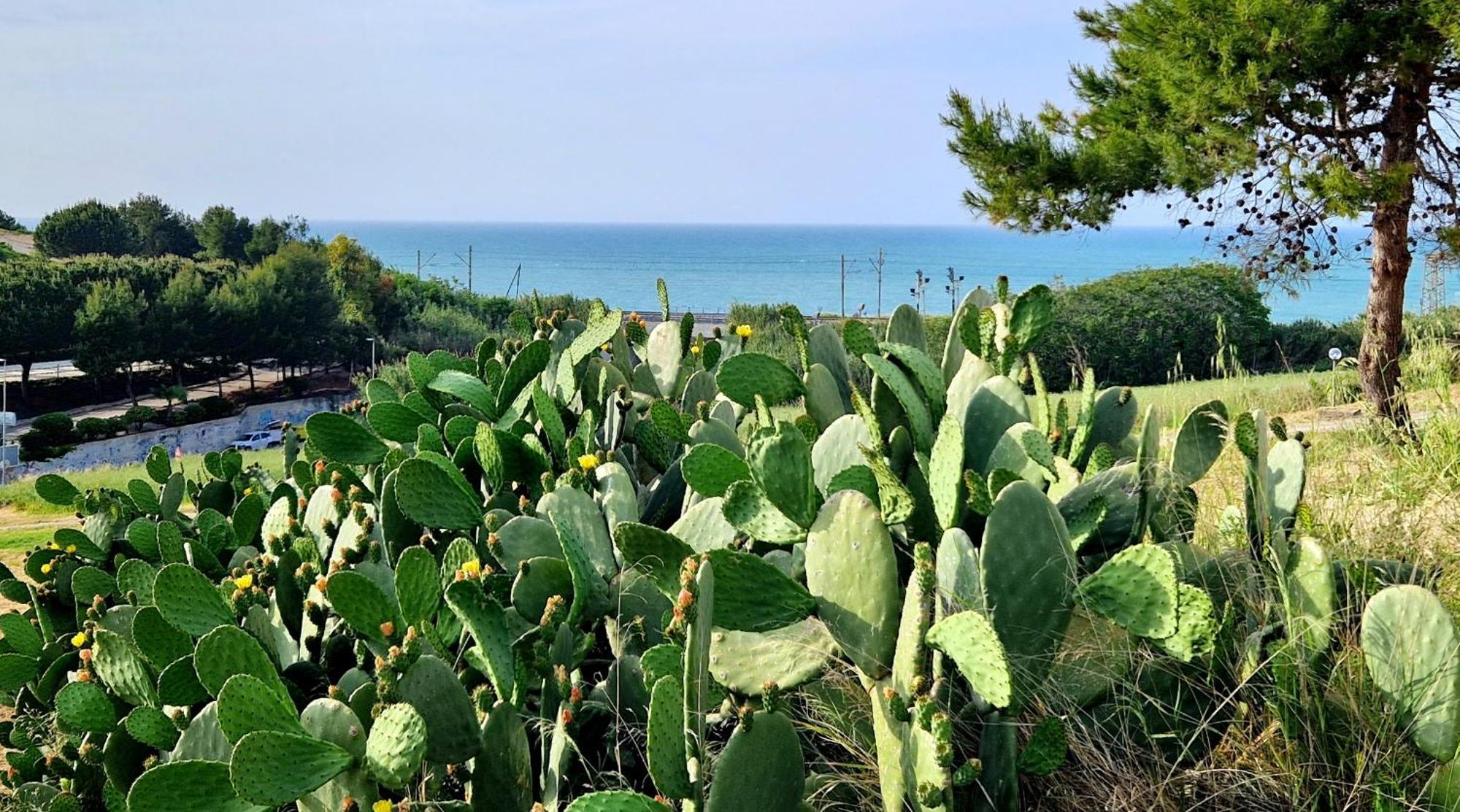 Via Del Mare Villa Termoli Exteriör bild